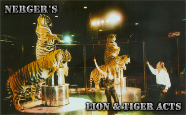 Nerger's Lion & Tiger Acts
