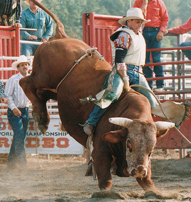 Professional Rodeo and Bull Riding